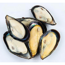 Frozen Cooked Half Shell Mussel